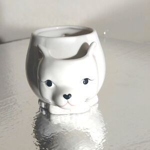 Cat Mug Urban Outfitters Tea Cup with Tea Bag Holder Feline